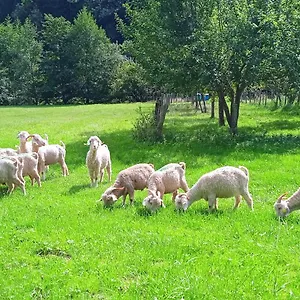 Au Mohair Des Alpy Maison d'hôtes